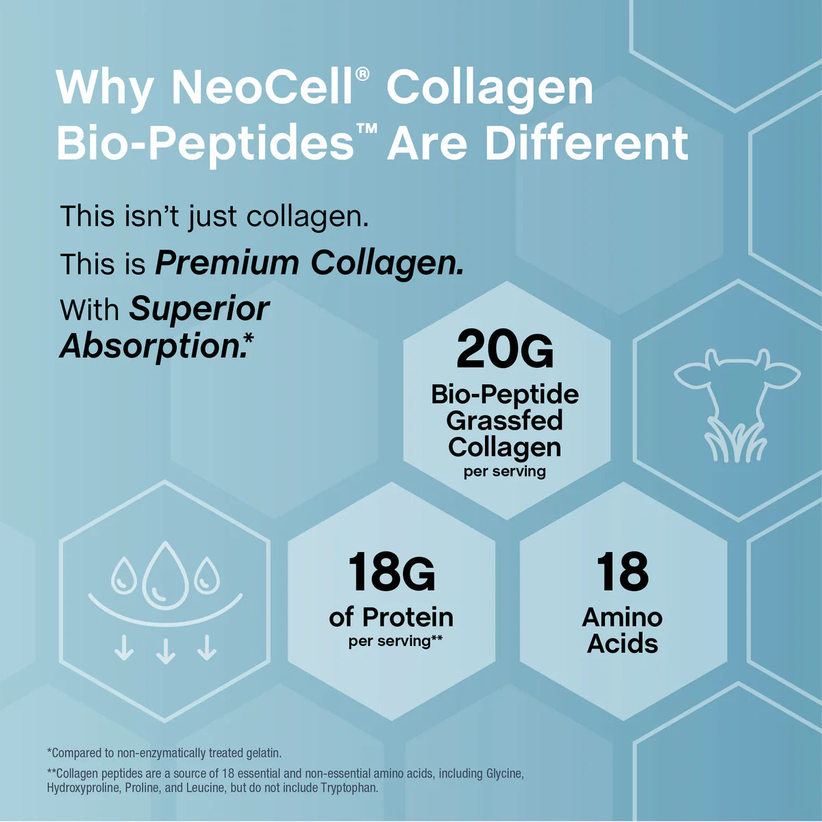 Bioactive Grass-Fed Collagen Powder – 20 oz( 567 g)