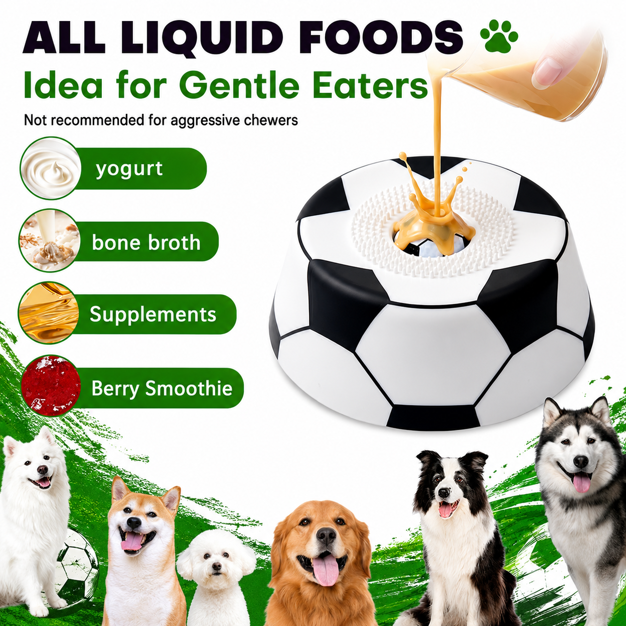 Paw Pace™ Enrichment Bowl