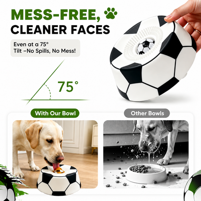 Paw Pace™ Enrichment Bowl