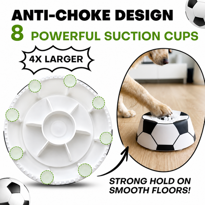 Paw Pace™ Enrichment Bowl
