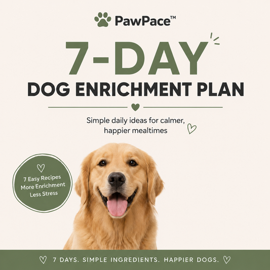 7-Day Enrichment Plan